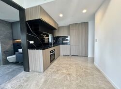 Irwell Hill Residences (D9), Apartment #546650971